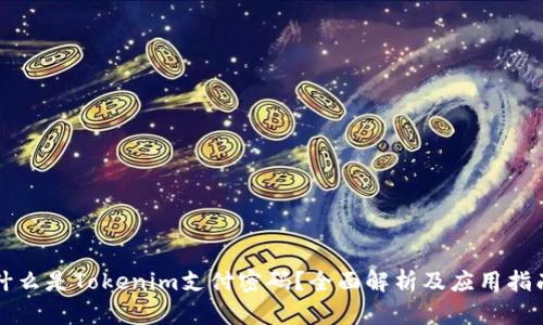 什么是Tokenim支付密码？全面解析及应用指南