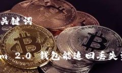 思考及关键词Tokenim 2.0 钱包能追回丢失资金吗？