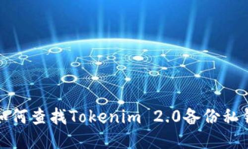 如何查找Tokenim 2.0备份私钥