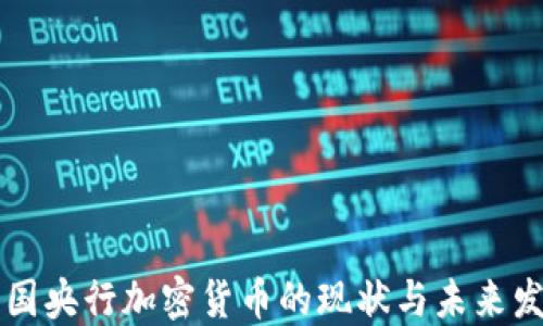 
中国央行加密货币的现状与未来发展