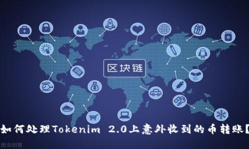 如何处理Tokenim 2.0上意外收到的币转账？