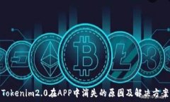  Tokenim2.0在APP中消失的原因及解决方案
