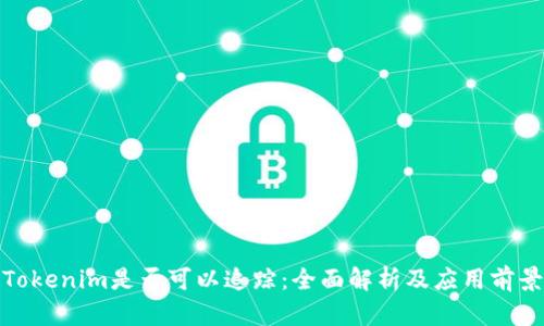 Tokenim是否可以追踪：全面解析及应用前景