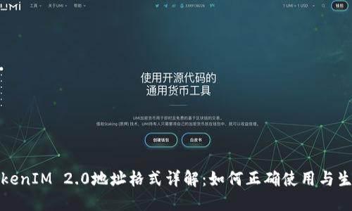 TokenIM 2.0地址格式详解：如何正确使用与生成