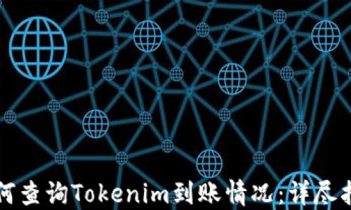 
如何查询Tokenim到账情况：详尽指南