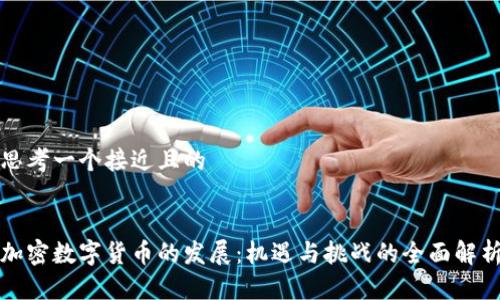 思考一个接近且的


加密数字货币的发展：机遇与挑战的全面解析