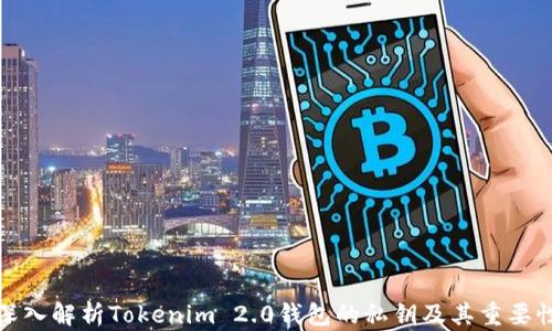 
深入解析Tokenim 2.0钱包的私钥及其重要性