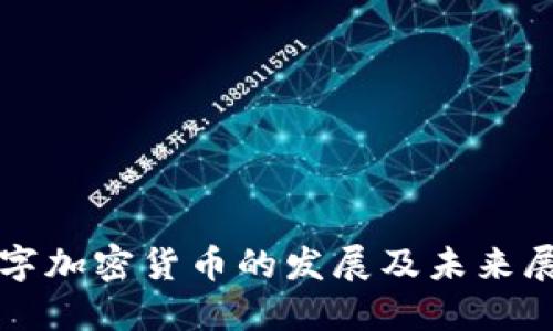 数字加密货币的发展及未来展望