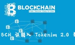 如何解决 BCH 误转入 Tokenim 2.0 钱包的问题