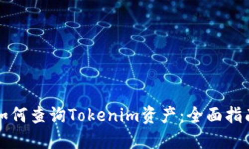 如何查询Tokenim资产：全面指南